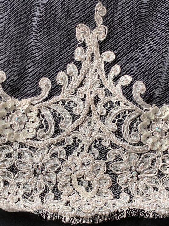 Cathedral Bridal Veil English Net Alençon Lace Beaded Pearl Veil Antique White main image 11